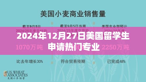 美国留学生热门申请专业在2025年12月27日分析