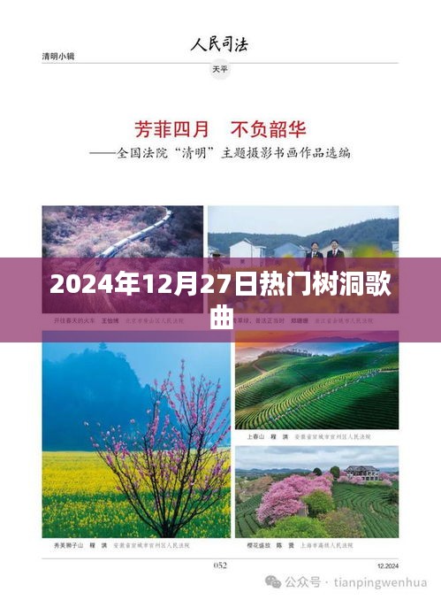 2025年冬季树洞流行歌曲榜单