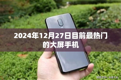 2025年大屏手机热门推荐，最新资讯一网打尽