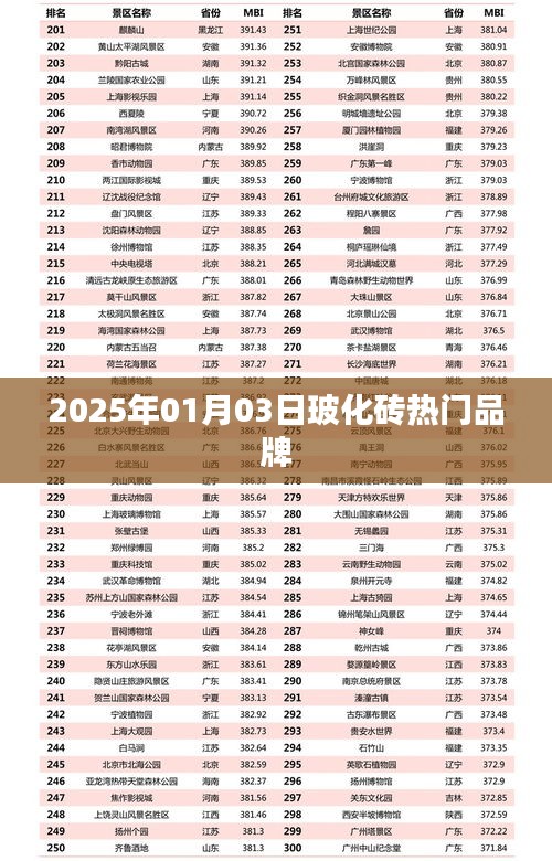 玻化砖热门品牌 2025年市场趋势解析