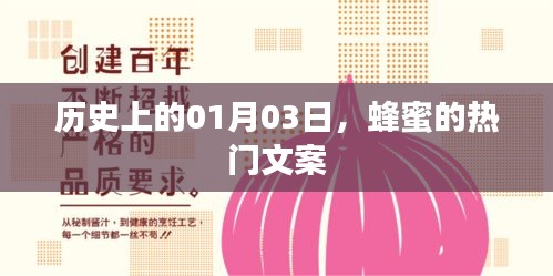 历史上的今天，蜂蜜文案回顾