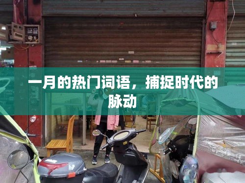 一月热门词汇，捕捉时代跳动的脉搏