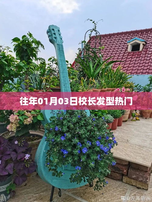 chongshuniaozhuan 第2页