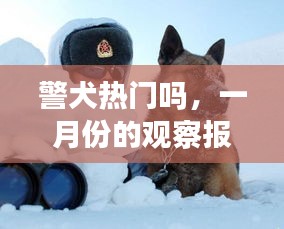 zhangmeiruyin 第2页