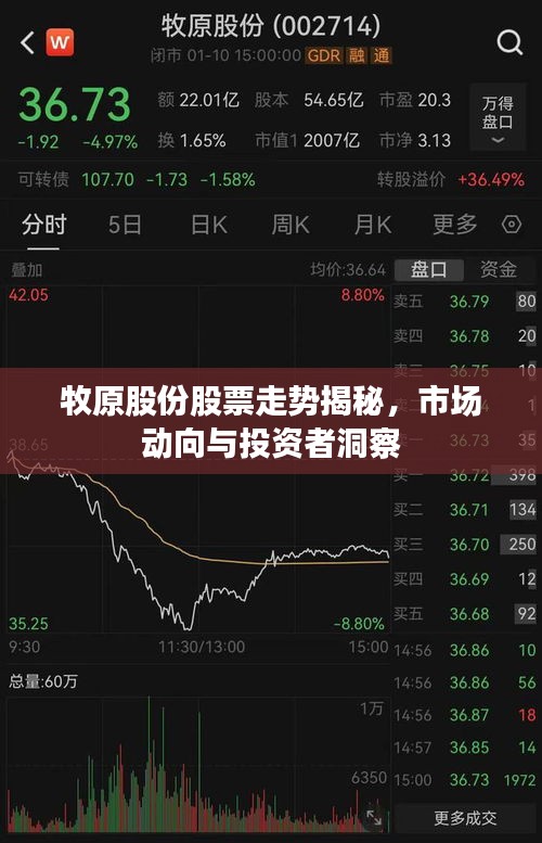 牧原股份股票走势揭秘，市场动向与投资者洞察