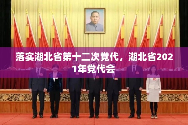 落实湖北省第十二次党代，湖北省2021年党代会 