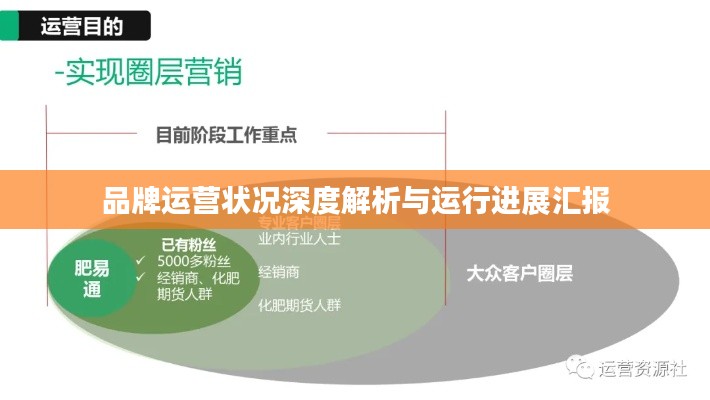 不飞则已 第2页