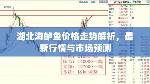 湖北海鲈鱼价格走势解析，最新行情与市场预测