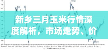 新乡三月玉米行情深度解析，市场走势、价格及影响因素一网打尽