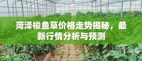 zhangkoujieshe 第2页