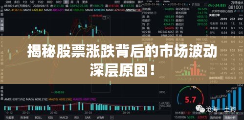 揭秘股票涨跌背后的市场波动深层原因！