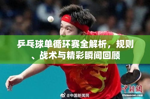 乒乓球单循环赛全解析，规则、战术与精彩瞬间回顾