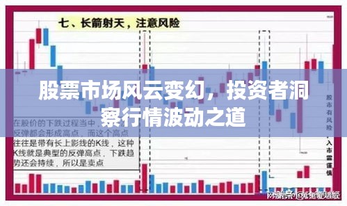 binbinyouli 第2页
