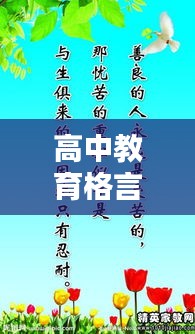 对答如流 第2页