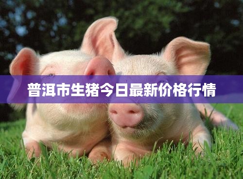 量入为出 第2页