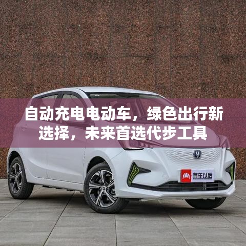 洵属可贵 第2页
