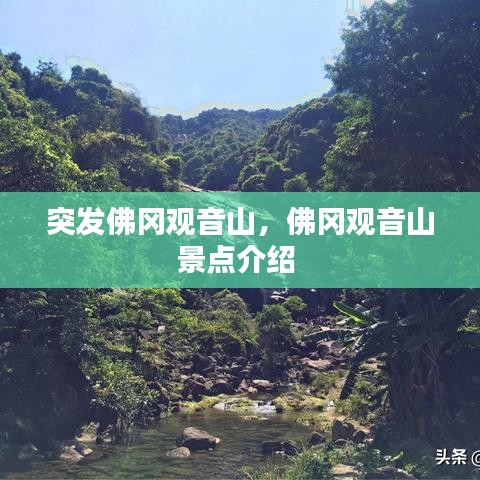 反正还淳 第2页