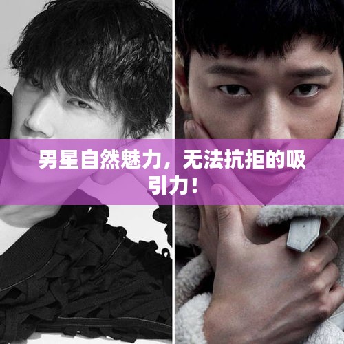 案例展示 第111页