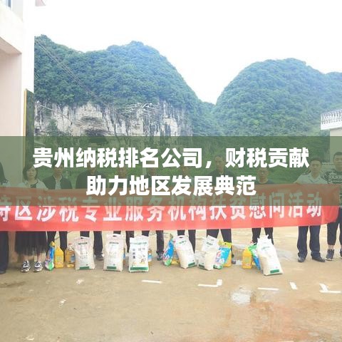 贵州纳税排名公司，财税贡献助力地区发展典范