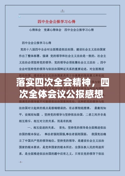 落实四次全会精神，四次全体会议公报感想 