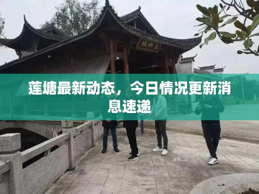 披肝沥胆 第2页