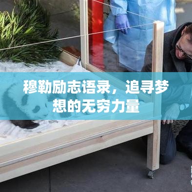 穆勒励志语录，追寻梦想的无穷力量