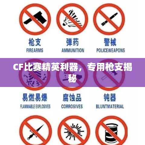 CF比赛精英利器，专用枪支揭秘