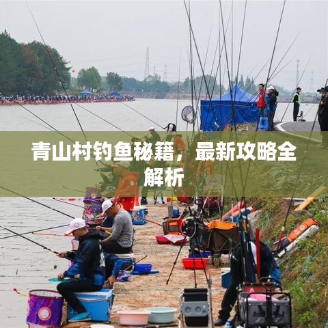 青山村钓鱼秘籍，最新攻略全解析