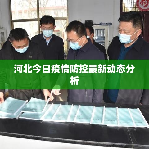 案例展示 第105页