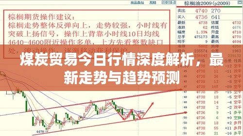 煤炭贸易今日行情深度解析，最新走势与趋势预测