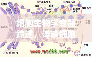 细胞生物学专题综述，浅谈细胞生物学 