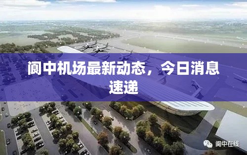 林下风气 第2页