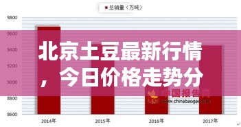 打张鸡儿 第2页