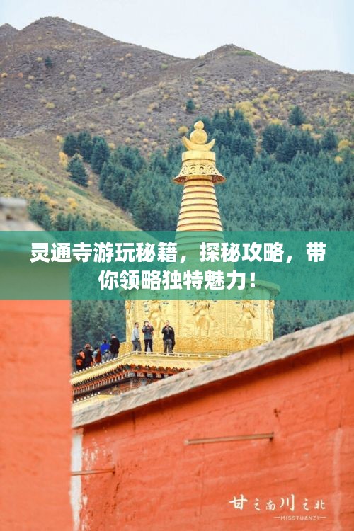 bupiwaqi 第2页