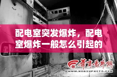 贵人多忘事 第2页