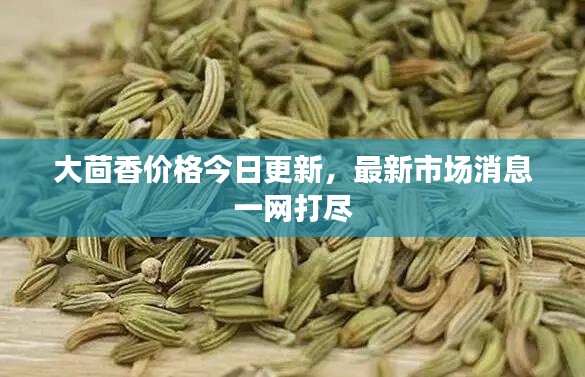 大茴香价格今日更新，最新市场消息一网打尽