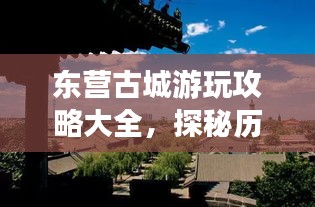 东营古城游玩攻略大全，探秘历史遗迹，体验别样风情！