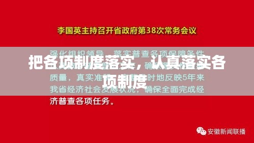 把各项制度落实，认真落实各项制度 