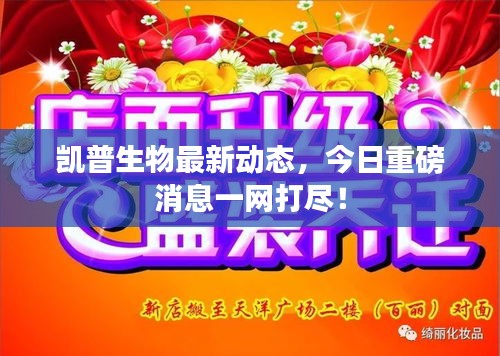 衣不兼采 第2页