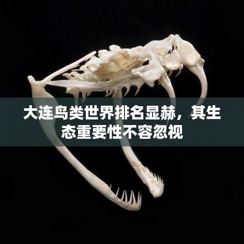 首当其冲 第2页