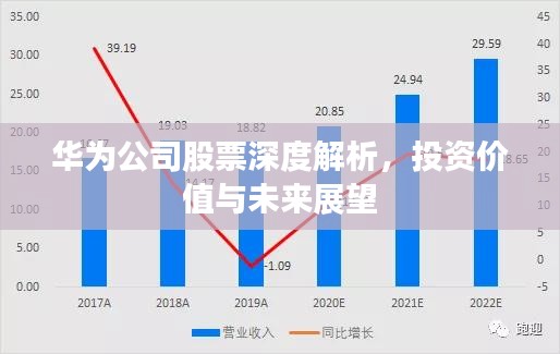 华为公司股票深度解析，投资价值与未来展望