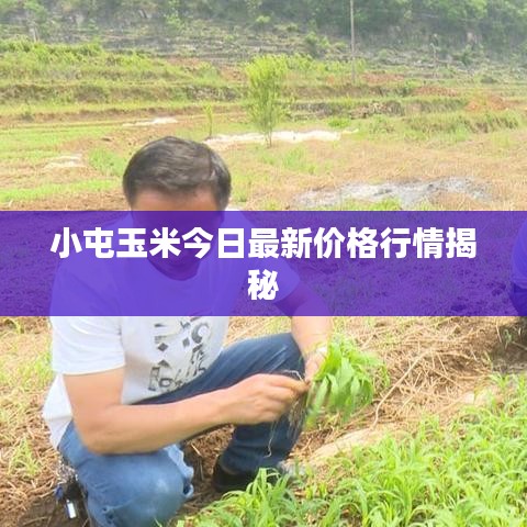 纡尊降贵 第2页