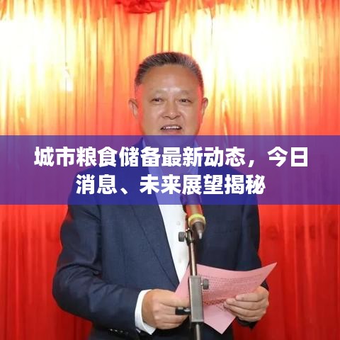 城市粮食储备最新动态，今日消息、未来展望揭秘