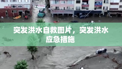 铺张扬厉 第2页