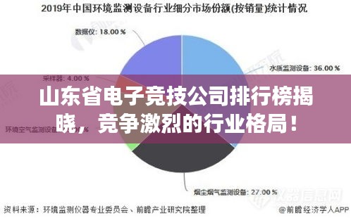 山东省电子竞技公司排行榜揭晓，竞争激烈的行业格局！