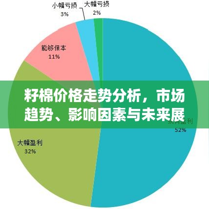 籽棉价格走势分析，市场趋势、影响因素与未来展望