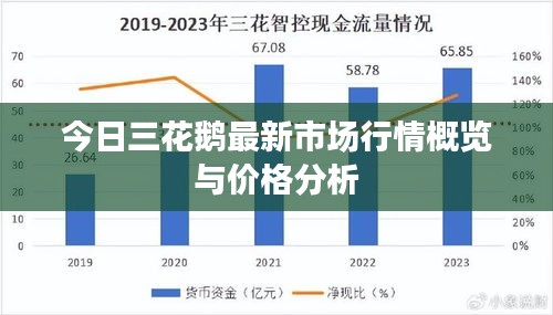 今日三花鹅最新市场行情概览与价格分析