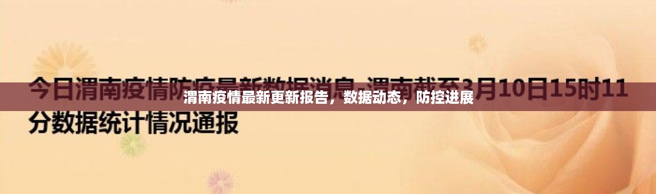 渭南疫情最新更新报告，数据动态，防控进展