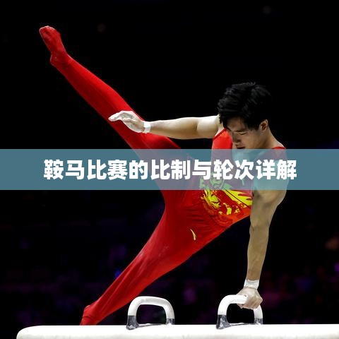 鞍马比赛的比制与轮次详解