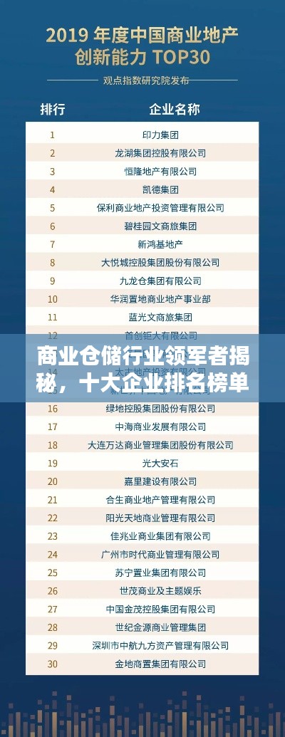 商业仓储行业领军者揭秘，十大企业排名榜单！